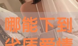 劣质爱情手机在线观看,手机在线观看，揭开情感陷阱的真相